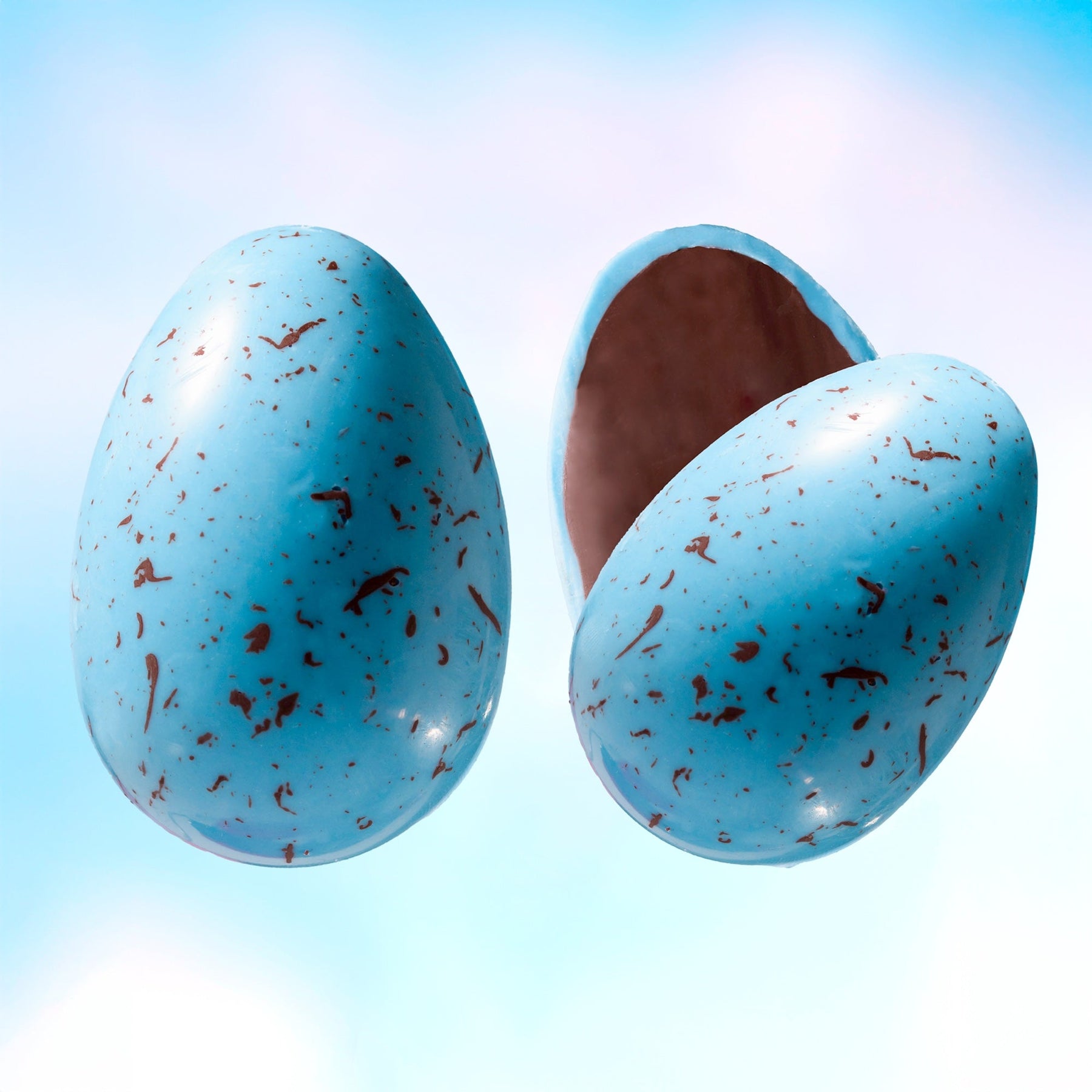 Robin's Egg - Bright Artisan Egg Assortment